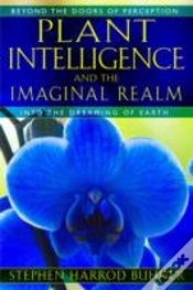 Capa do artigo Plant Intelligence And The Imaginal Realm