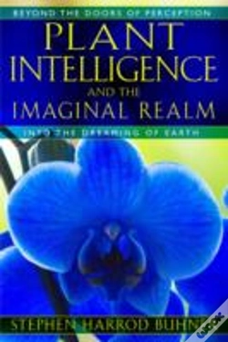 Capa do artigo Plant Intelligence And The Imaginal Realm