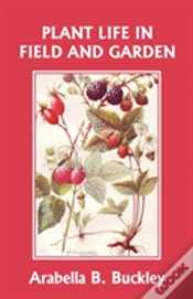 Capa do artigo Plant Life In Field And Garden (Yesterday