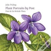 Plant Portraits By Post