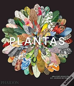Capa do artigo Plant Sp