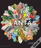 Capa do artigo Plant Sp