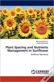 Capa do artigo Plant Spacing And Nutrients Management In Sunflower