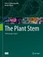 Plant Stem - Preview