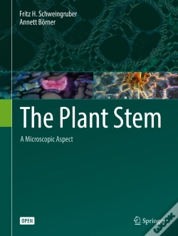 Capa do artigo Plant Stem