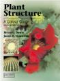 Plant Structure - Preview