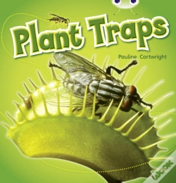 Capa do artigo Plant Traps (Blue B ) Nf 6-Pack