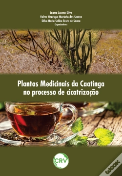 Capa do artigo Plantas Medicinais Da Caatinga No Processo De Cicatrização
