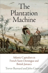 Plantation Machine