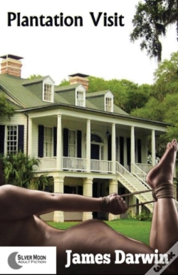 Capa do artigo Plantation Visit