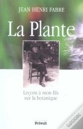 Plante