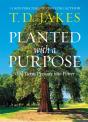Planted With A Purpose - Preview