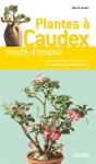 Plantes A Caudex - Preview