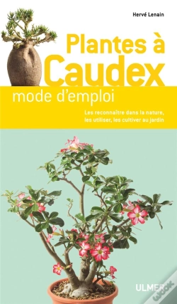 Capa do artigo Plantes A Caudex