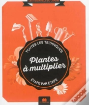 Capa do artigo Plantes A Multiplier Poche
