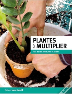 Capa do artigo Plantes A Multiplier