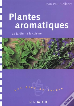 Capa do artigo Plantes Aromatiques Au Jardin A La Cuisine