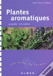 Plantes Aromatiques Au Jardin A La Cuisine