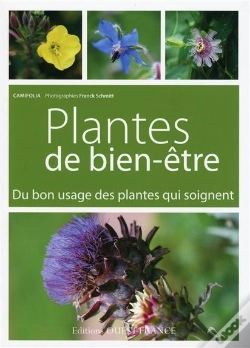 Capa do artigo Plantes De Bien-Être