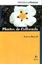 Plantes De Collserola - Preview
