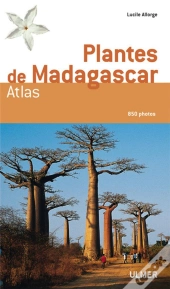 Plantes De Madagascar