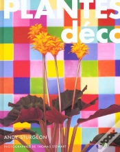 Capa do artigo Plantes Deco