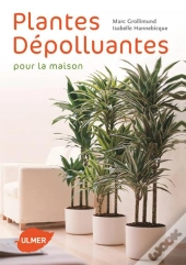Plantes Dépolluantes Pour La Maison