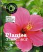 Plantes D'Interieur - Preview