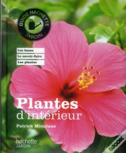 Capa do artigo Plantes D'Interieur