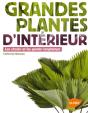 Plantes D'Interieur Qui Font De L'Effet. - Preview