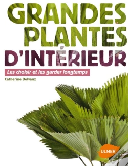 Capa do artigo Plantes D'Interieur Qui Font De L'Effet.