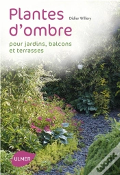 Capa do artigo Plantes D