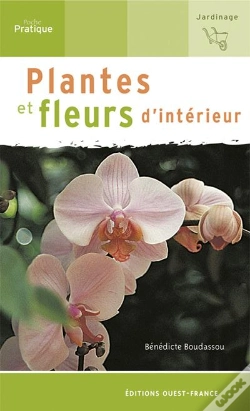 Capa do artigo Plantes Et Fleurs D'Intérieur