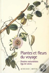 Plantes Et Fleurs Du Voyage