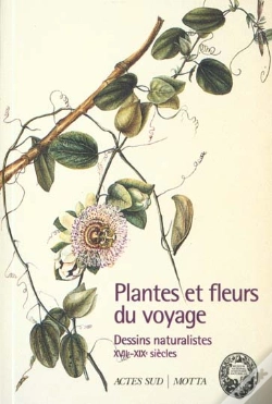 Capa do artigo Plantes Et Fleurs Du Voyage