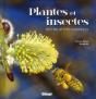 Plantes Et Insectes - Preview