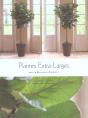 Plantes Extra Larges Pour La Decoration D'Interieur - Preview