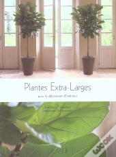 Plantes Extra Larges Pour La Decoration D'Interieur