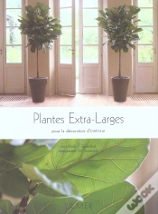 Capa do artigo Plantes Extra Larges Pour La Decoration D