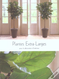 Capa do artigo Plantes Extra Larges Pour La Decoration D'Interieur
