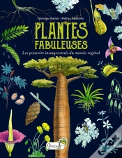 Capa do artigo Plantes Fabuleuses