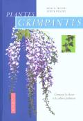 Plantes Grimpantes