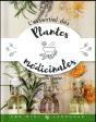 Plantes Medicinales - Preview