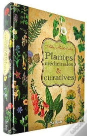 Capa do artigo Plantes Médicinales Et Curatives