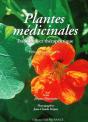 Plantes Médicinales ; Traditions Et Thérapeutique - Preview