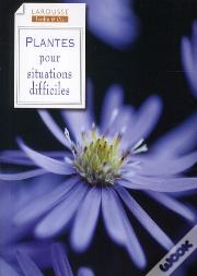 Plantes Pour Situations Difficiles