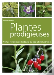 Capa do artigo Plantes Prodigieuses ; Vertus Révélées De La Stévia, Du Goji Et De L