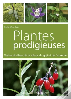 Capa do artigo Plantes Prodigieuses ; Vertus Révélées De La Stévia, Du Goji Et De L'Asimine