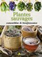 Plantes Sauvages Comestibles & Bienfaisantes - Preview