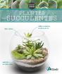 Plantes Succulentes - Preview